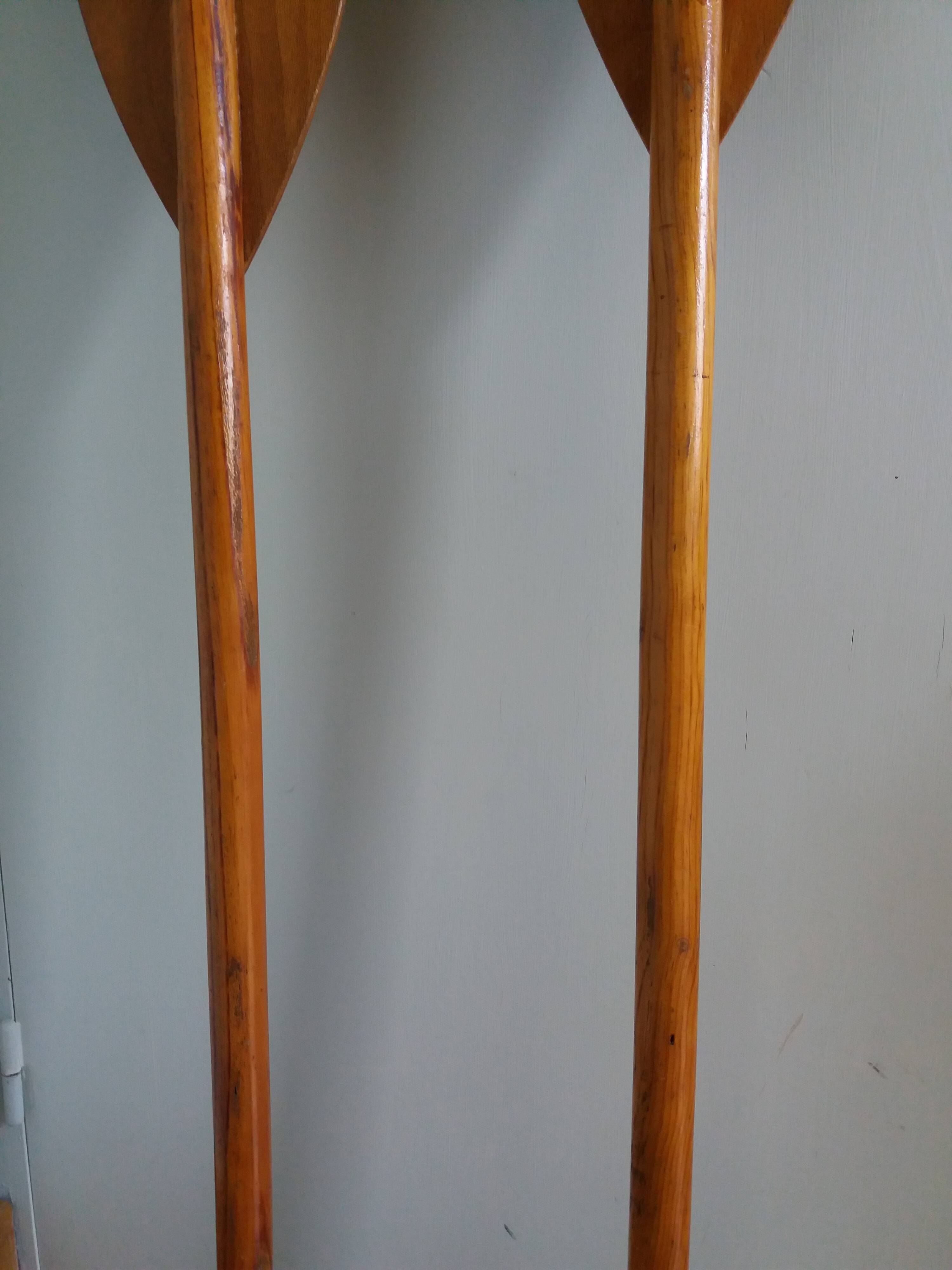 Nautisport oar paddles