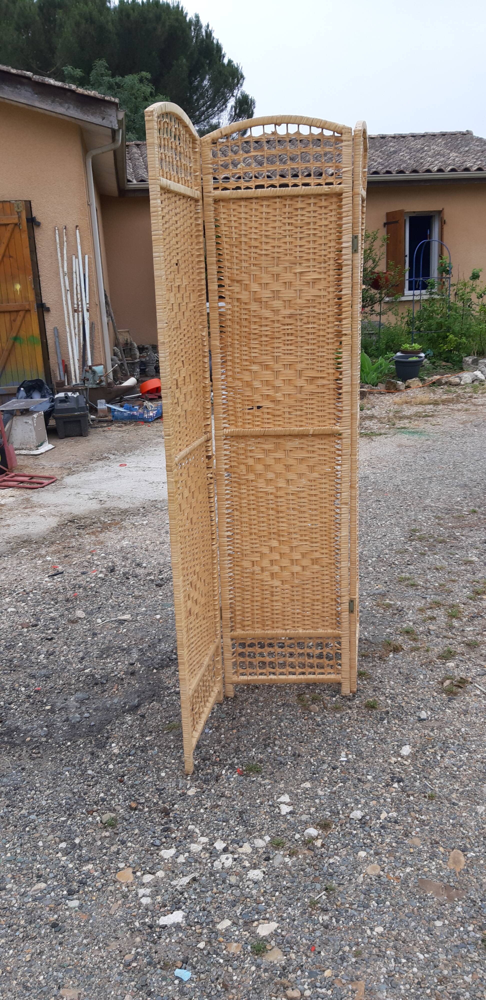 Screen osier 3 leaves