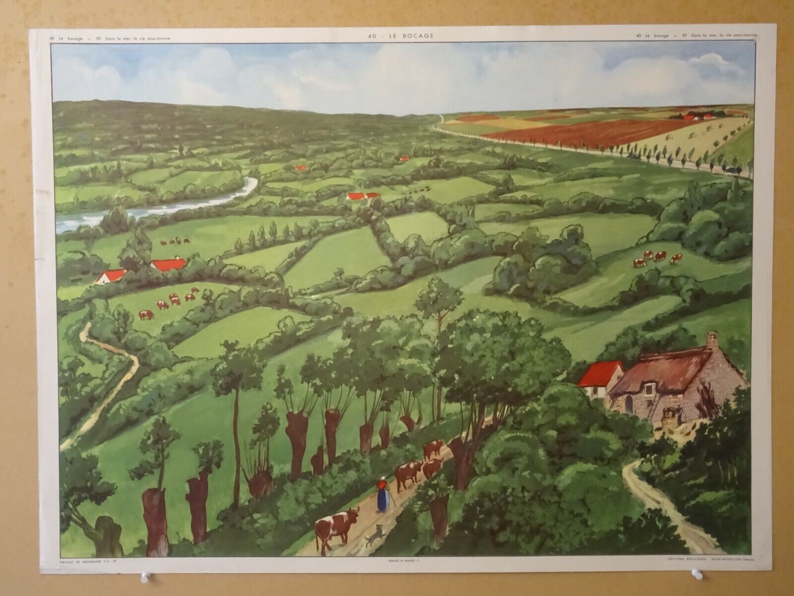 Rossignol school poster in the sea underwater life / the bocage