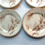 4 GIEN dessert plates, glaïeul style, sepia colour