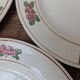 9 old flat plates in Salins ironstone model Nénuphar 24.5cm
