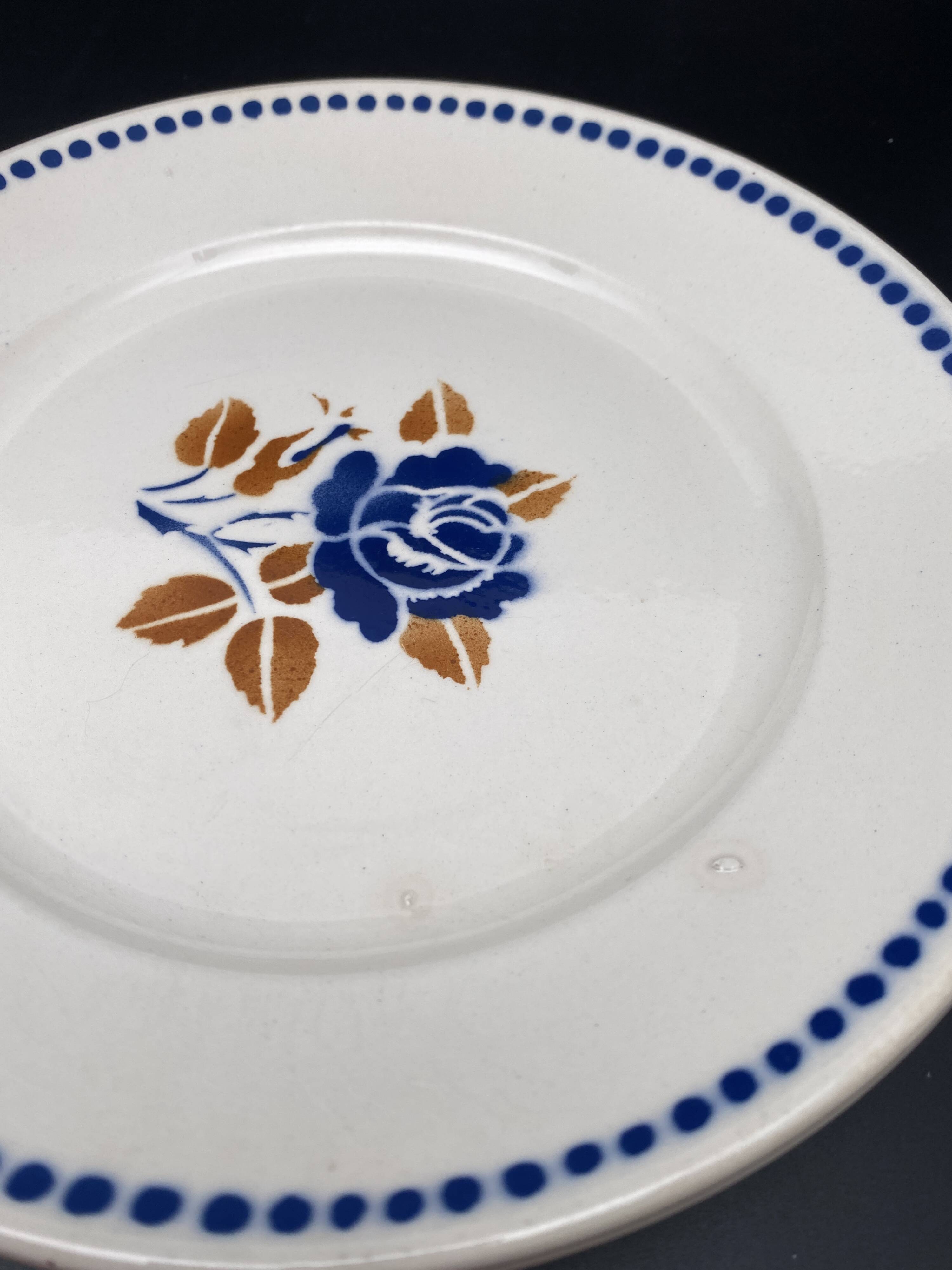 Assiettes plates badinviller vintage roses marine