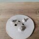 Handmade soap dish blue ceramic pattern