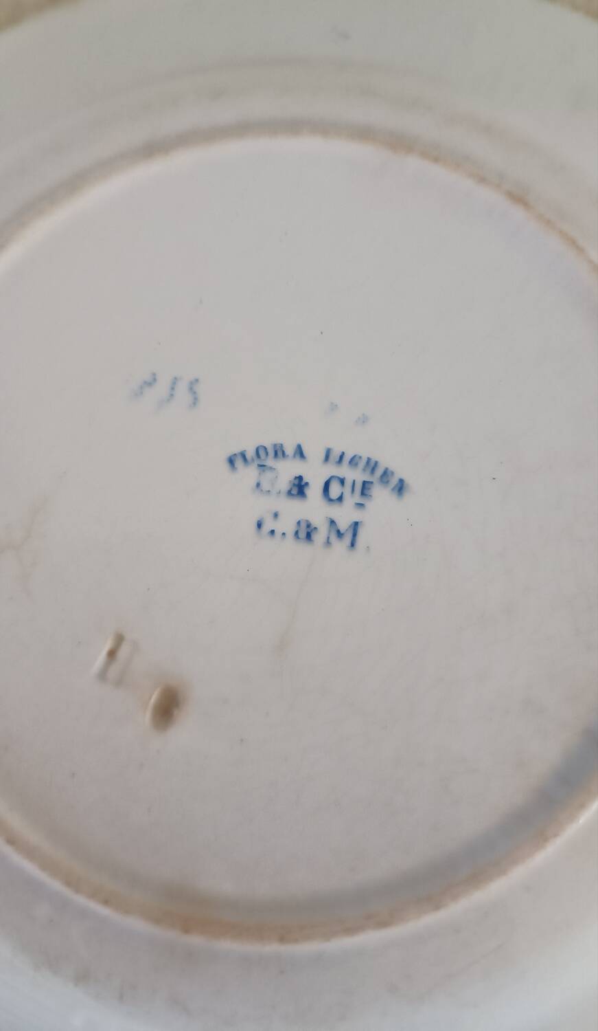 4 assiettes Creil-Montereau modèle Flora Lichen