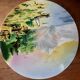 Two wall plates