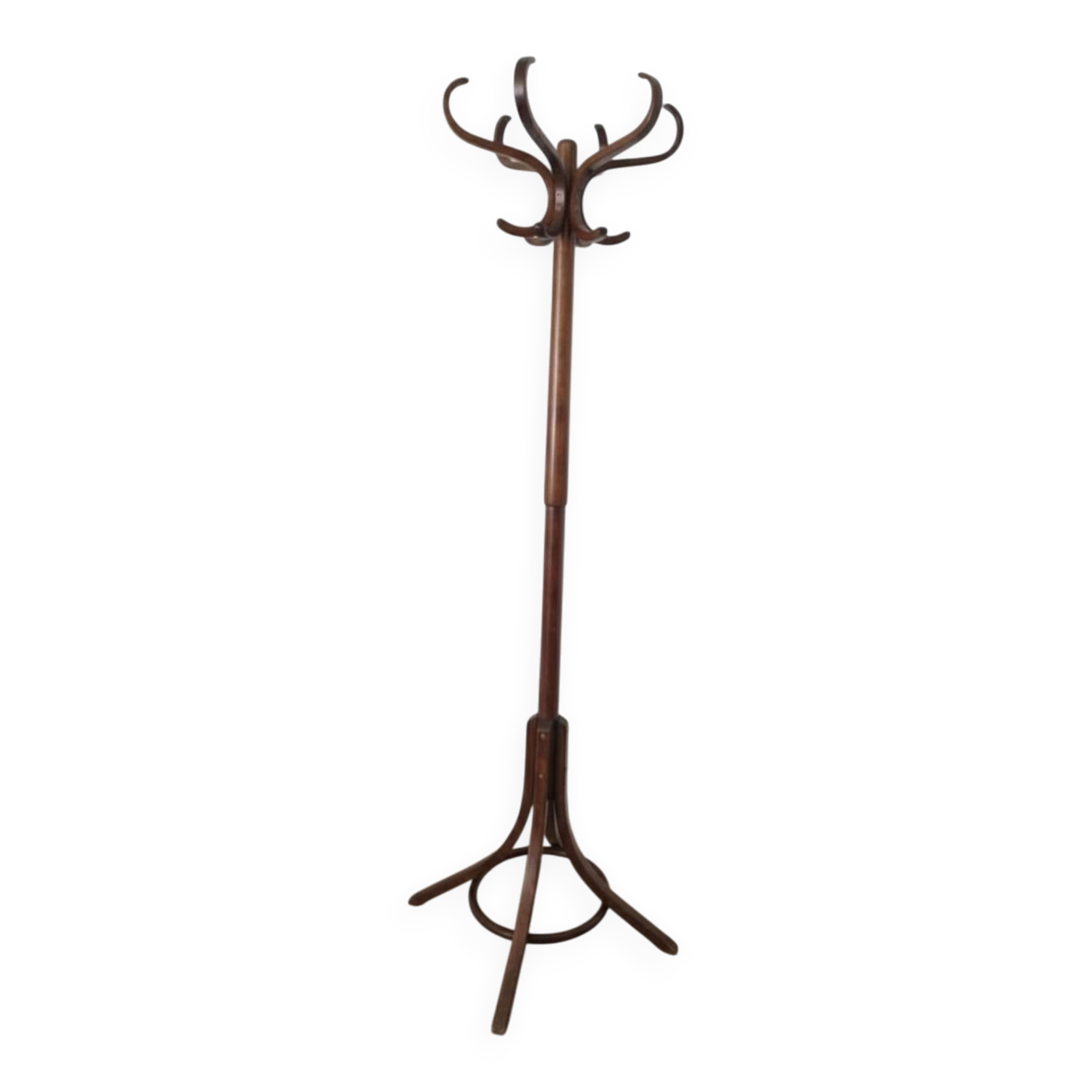 Wooden parrot coat rack