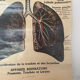 Anatomical chart of the respiratory system 1930s