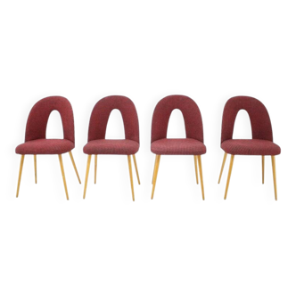 1960s Antonin Suman set of four dining chairs, Czechoslovakia