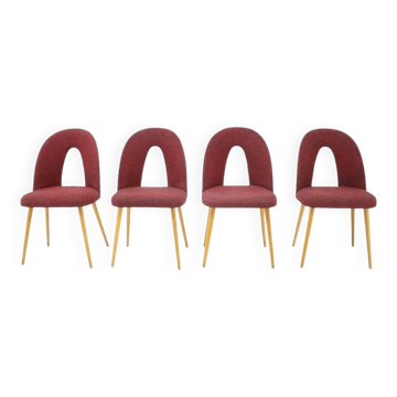 1960s Antonin Suman set of four dining chairs, Czechoslovakia