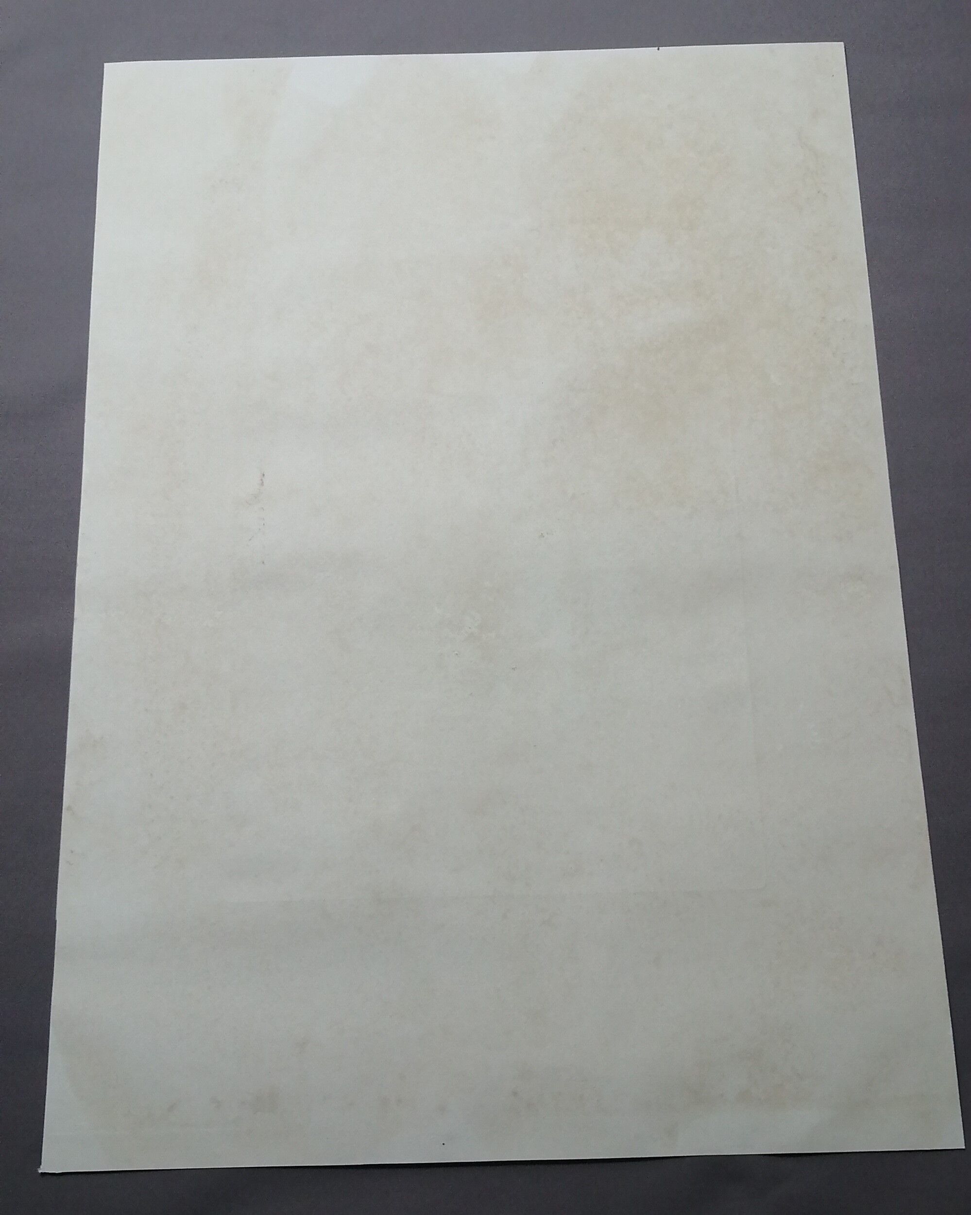 Lithograph by prévost english vase