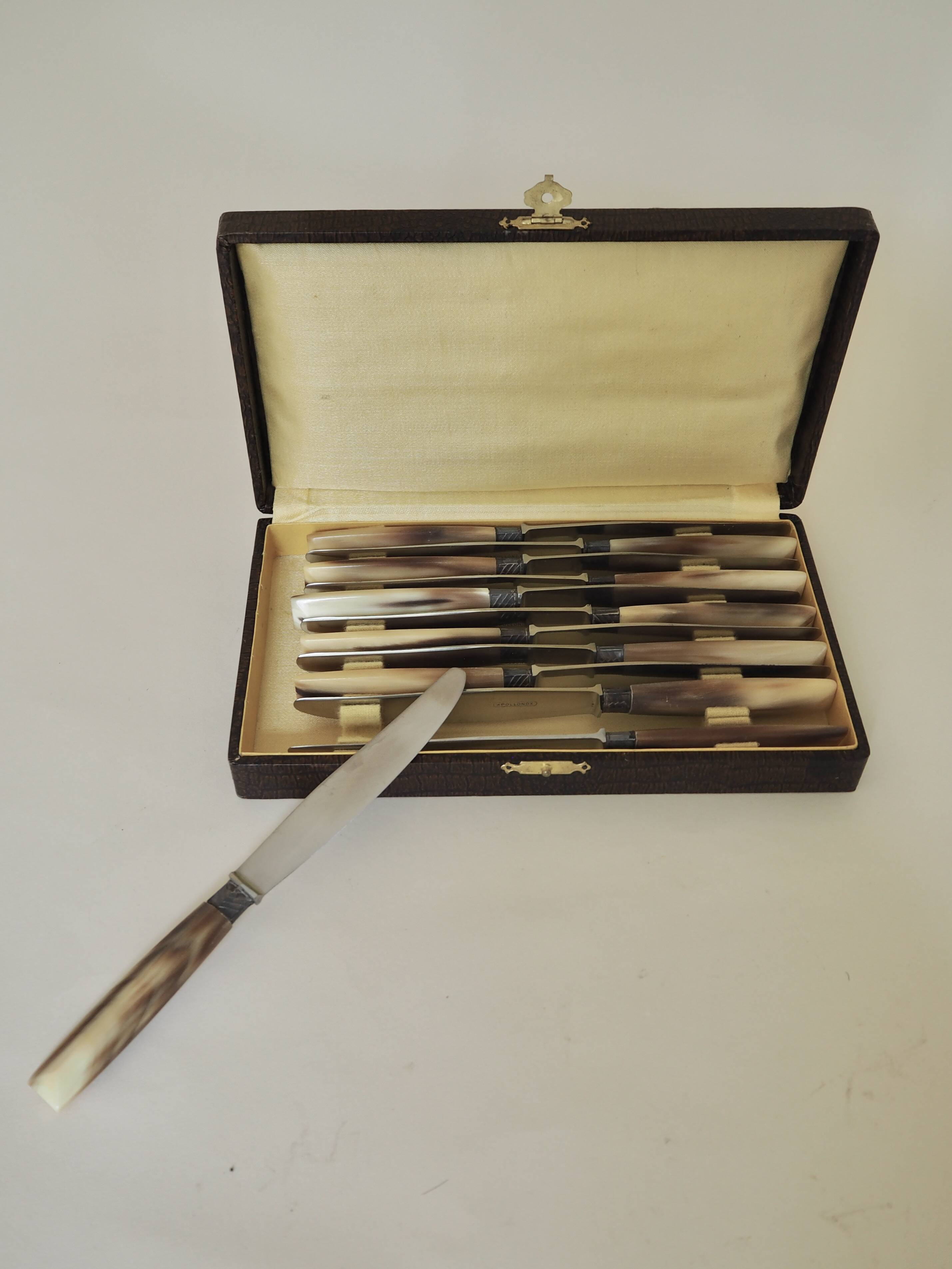 Set of 12 dessert knives Apollonox