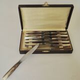 Set of 12 dessert knives Apollonox