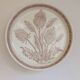 Beige stoneware plates