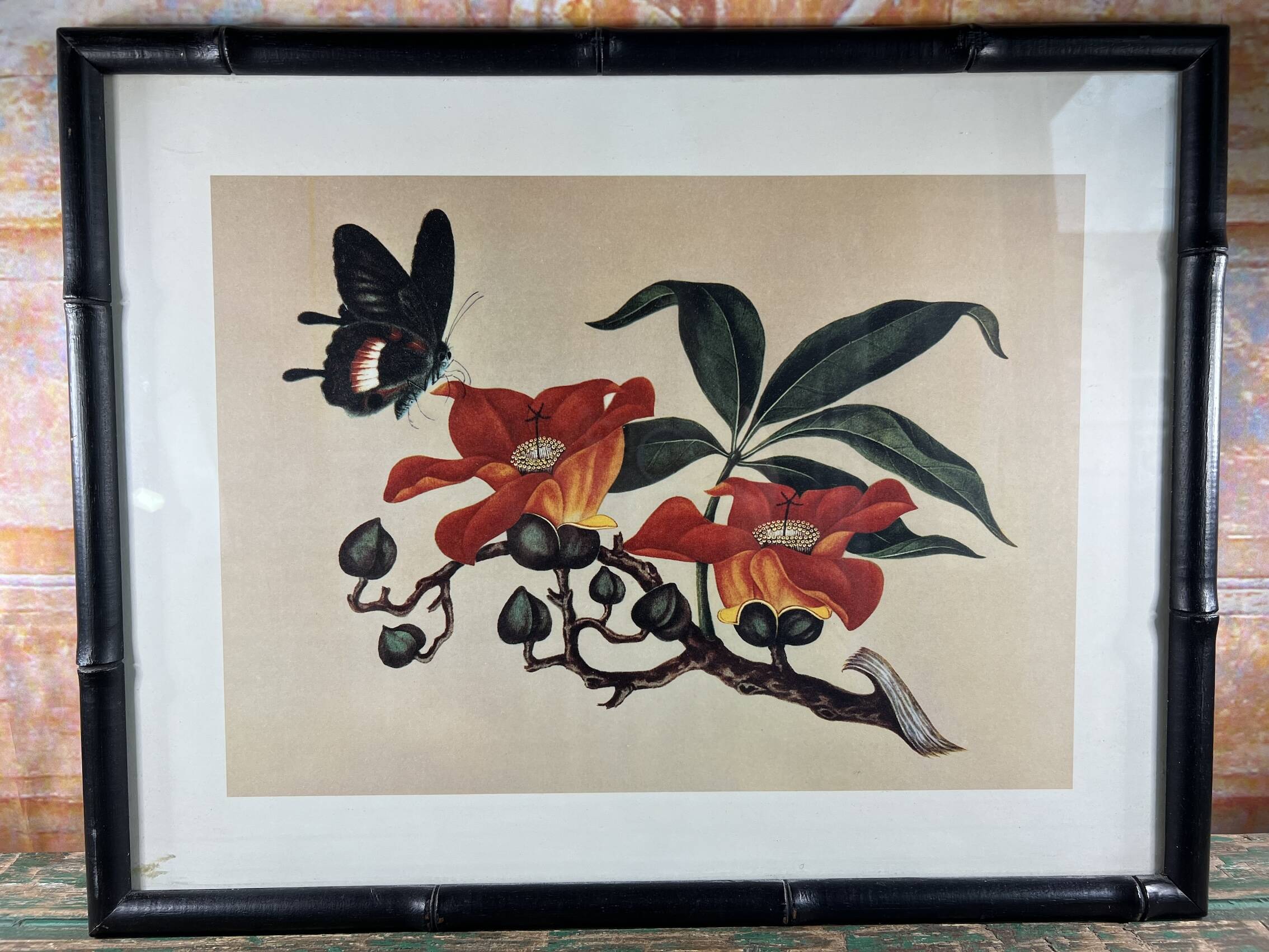 Framed flower and butterfly poster