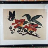 Framed flower and butterfly poster