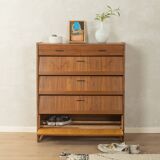 Classic shoe cabinet from the 1960s, walnut veneer, four drop-down doors, two drawers