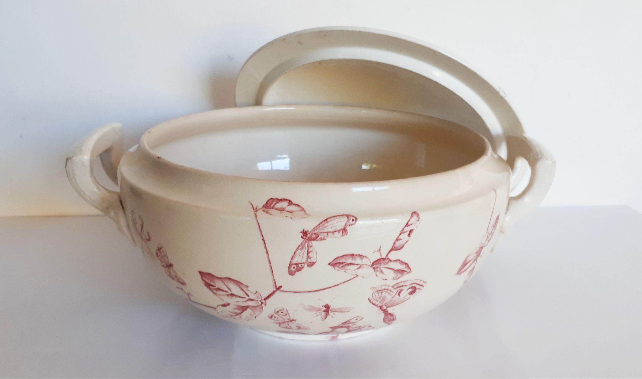 Soup pattern "Chevrefeuille" iron earth, Salins, porcelain