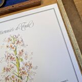 Printed in 1986, the Horse Chestnut. Vintage Botany.