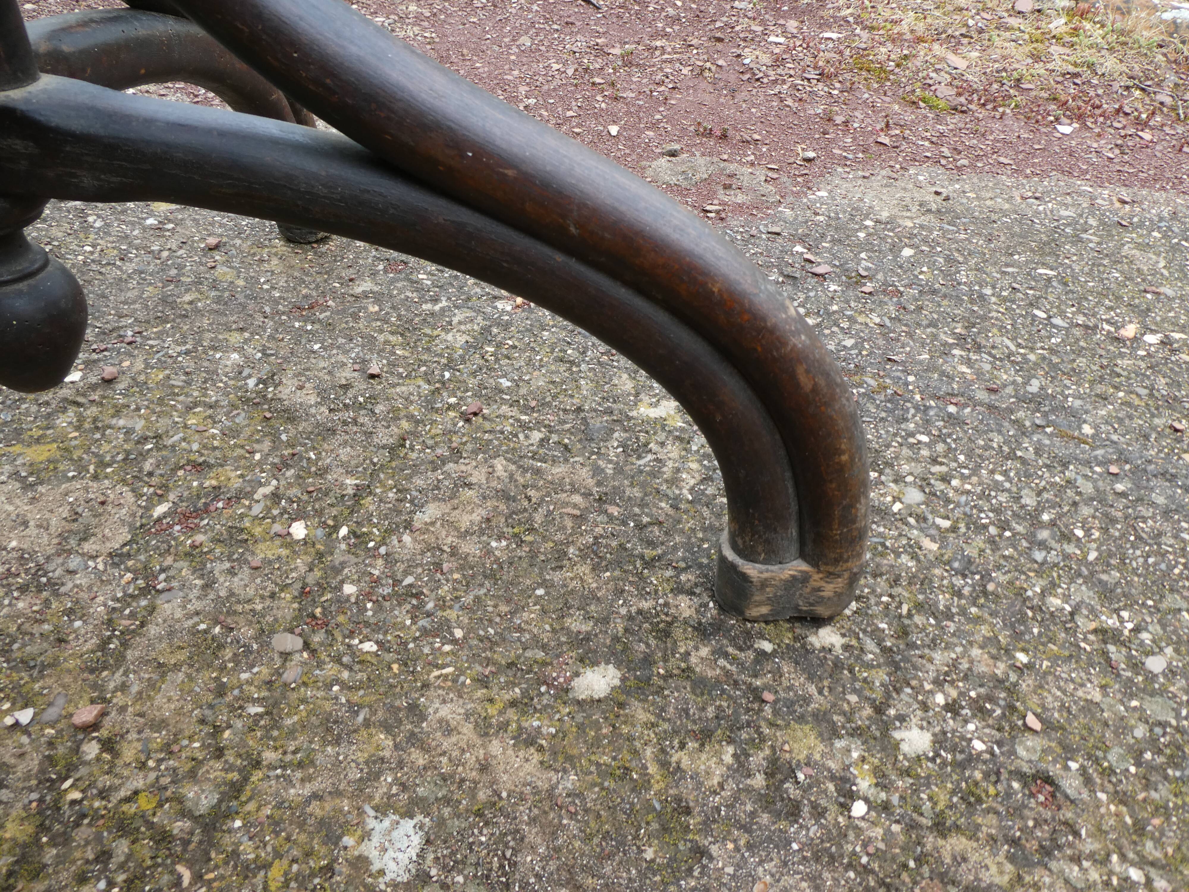 Parrot coat holder in curved wood - Art Nouveau