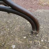 Parrot coat holder in curved wood - Art Nouveau
