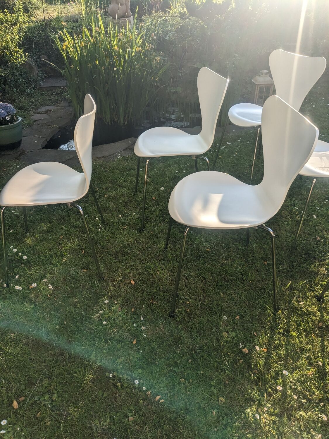 6 chaises série 7 d'Arne Jacobsen pour  Fritz Hansen