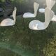 6 chaises série 7 d'Arne Jacobsen pour  Fritz Hansen