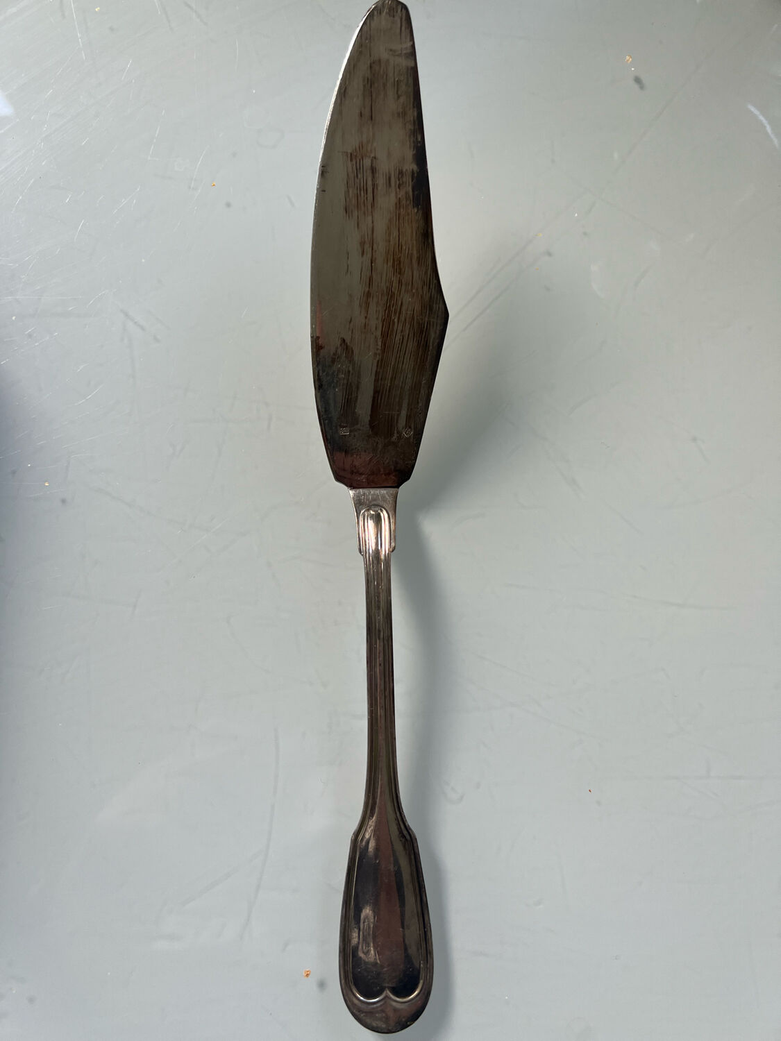 Silverware fish serving cutlery