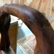Brutalist olive wood mirror