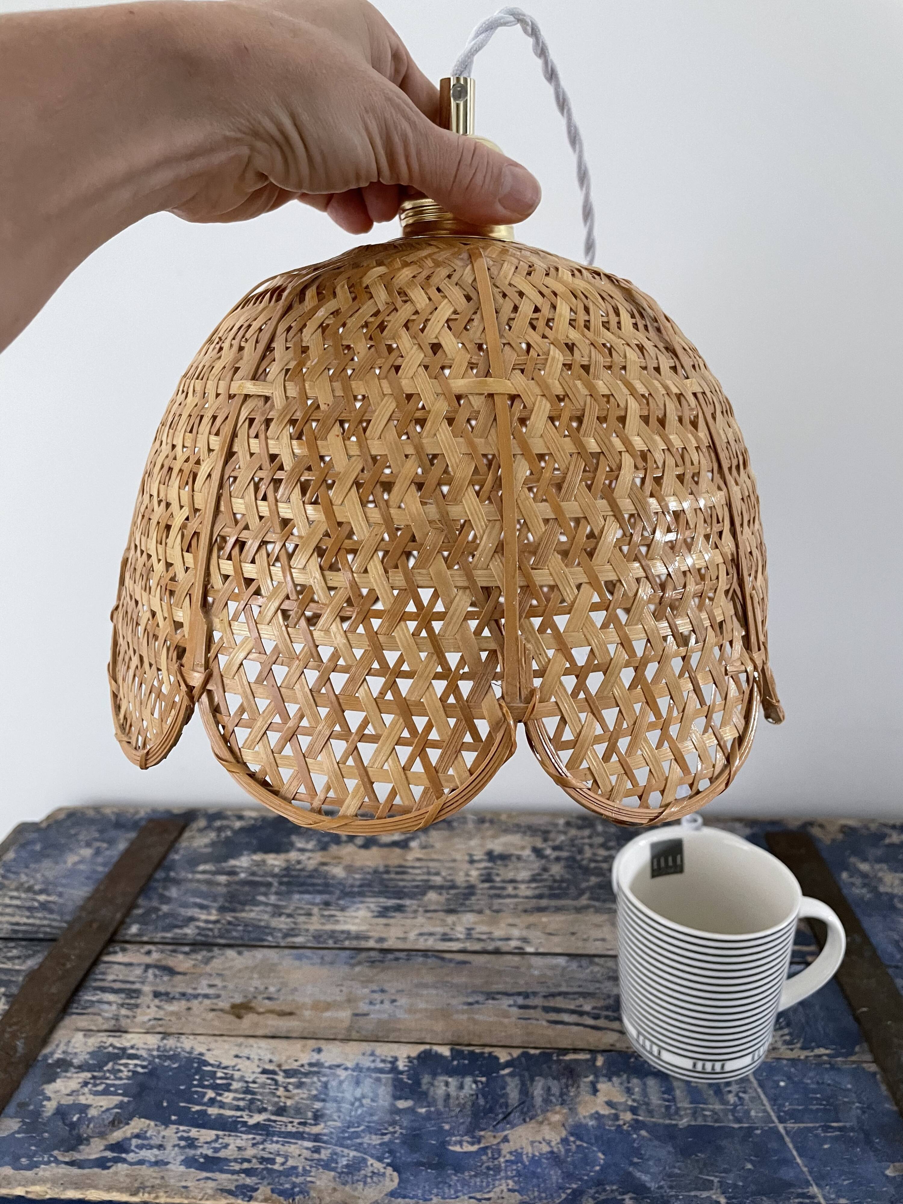 Vintage suspension in electrified braided wicker to nine