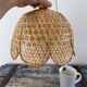 Vintage suspension in electrified braided wicker to nine