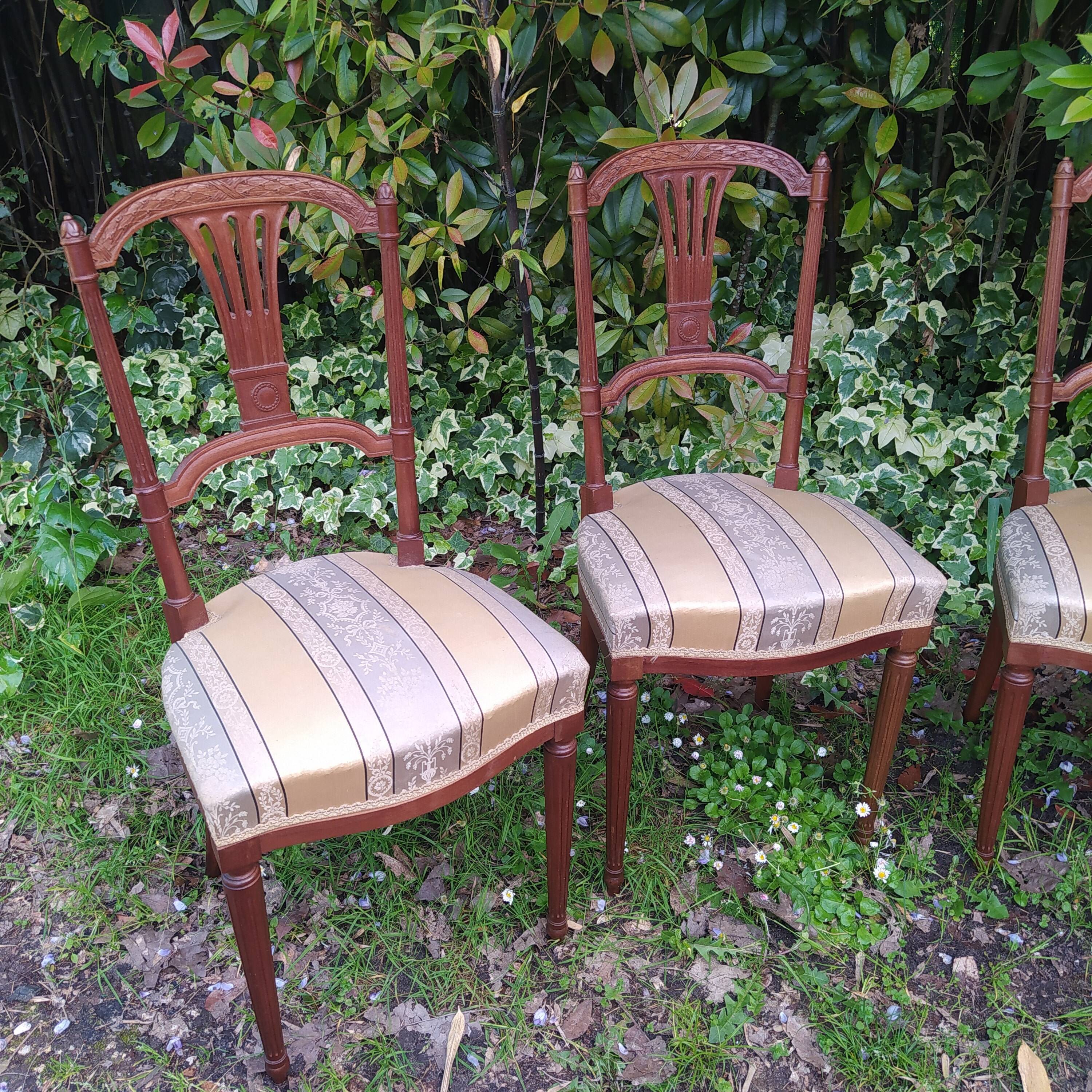 4 old chairs from the early 20th century in mahogany