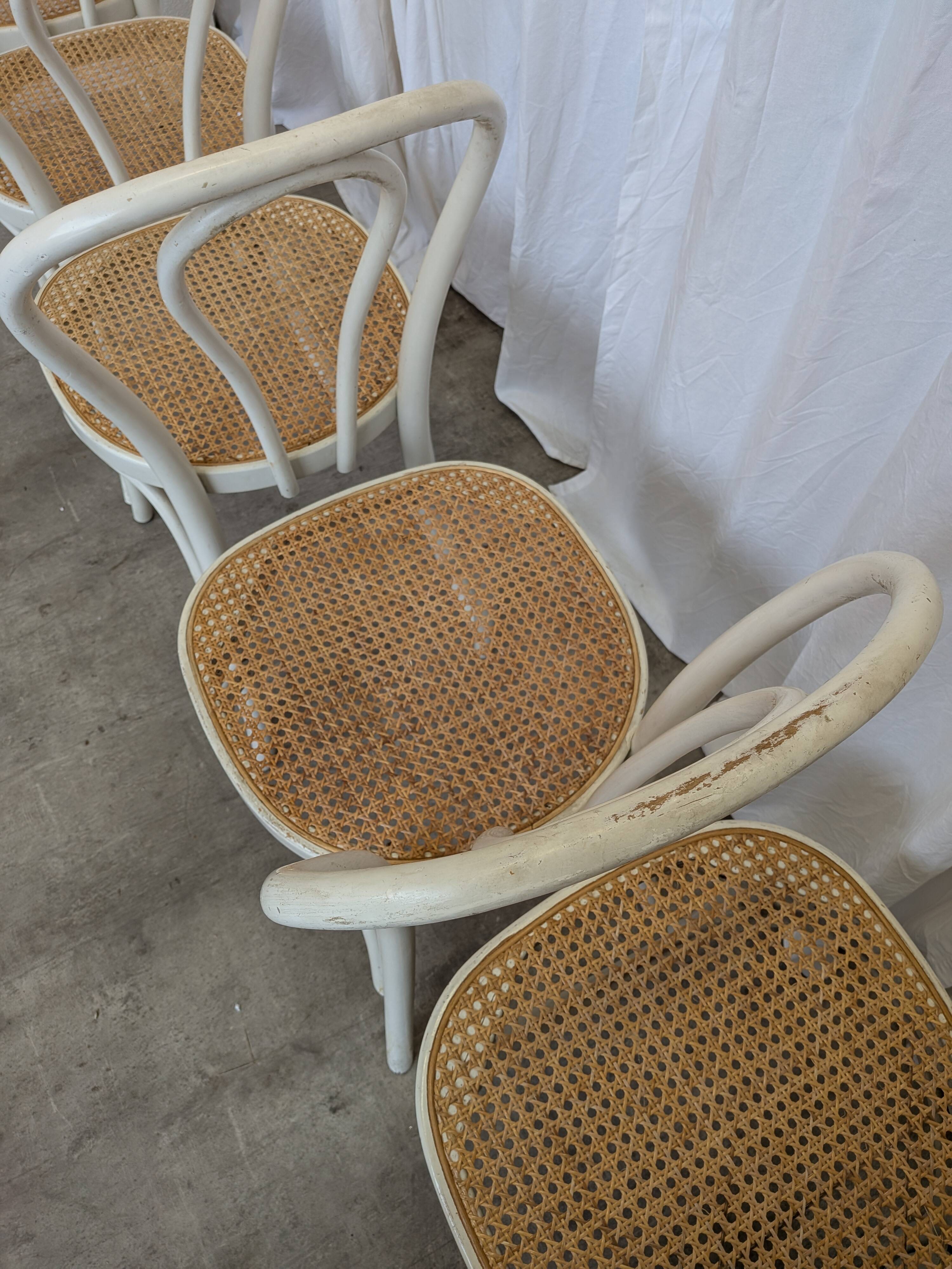 Ensemble de 6 chaises de salle à manger vintage de style Thonet : bois blanc et assise en cannage.
