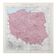 Old map of Poland Europe 43x43cm from 1950