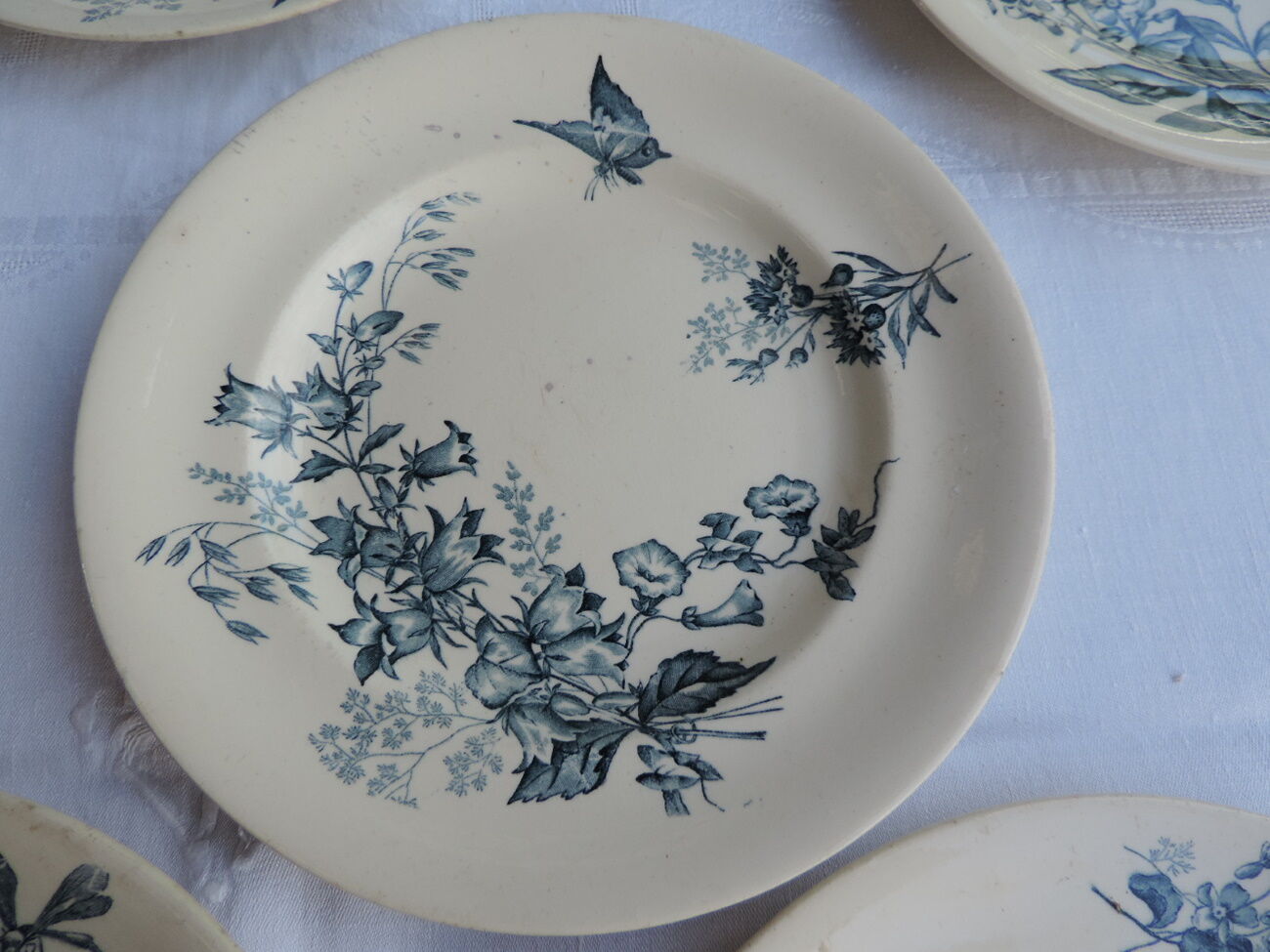 Lot de dix assiettes en Longwy , décor Botanique