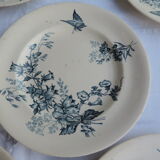 Set of ten plates in Longwy, botanical décor