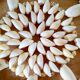 Shell trivet