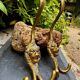 2 lion coat hooks in solid brass Art Nouveau