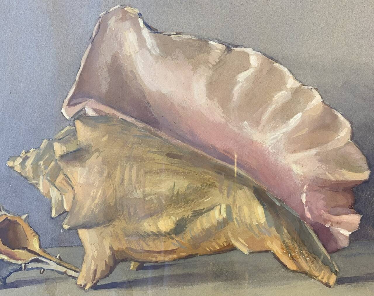 Old painting, still life with shells, 20th century