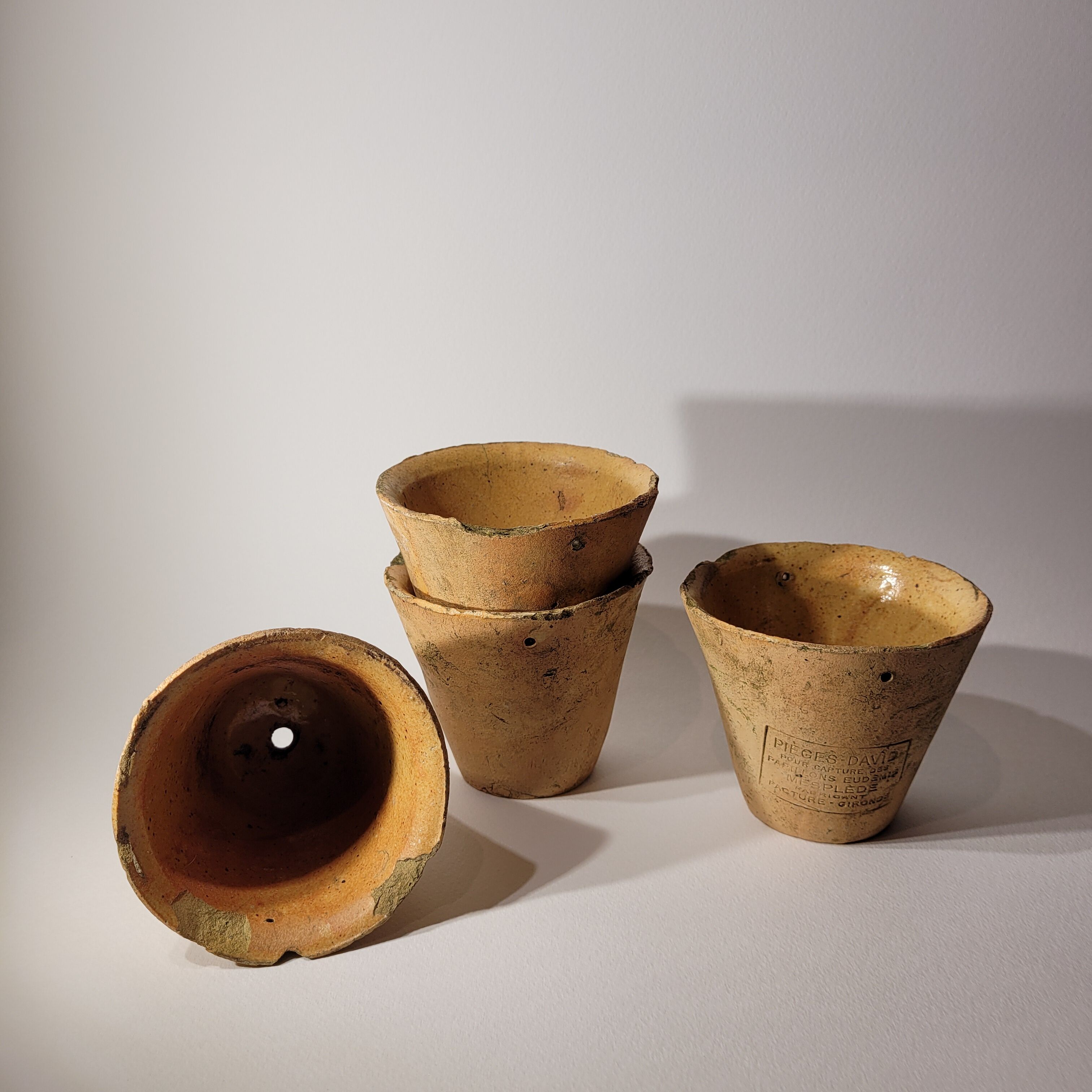 Verded terracotta pot