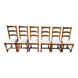 Set of 6 wooden chairs with floral fabric