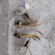 Paire d'appliques fleur en nacre