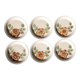 6 dessert plates