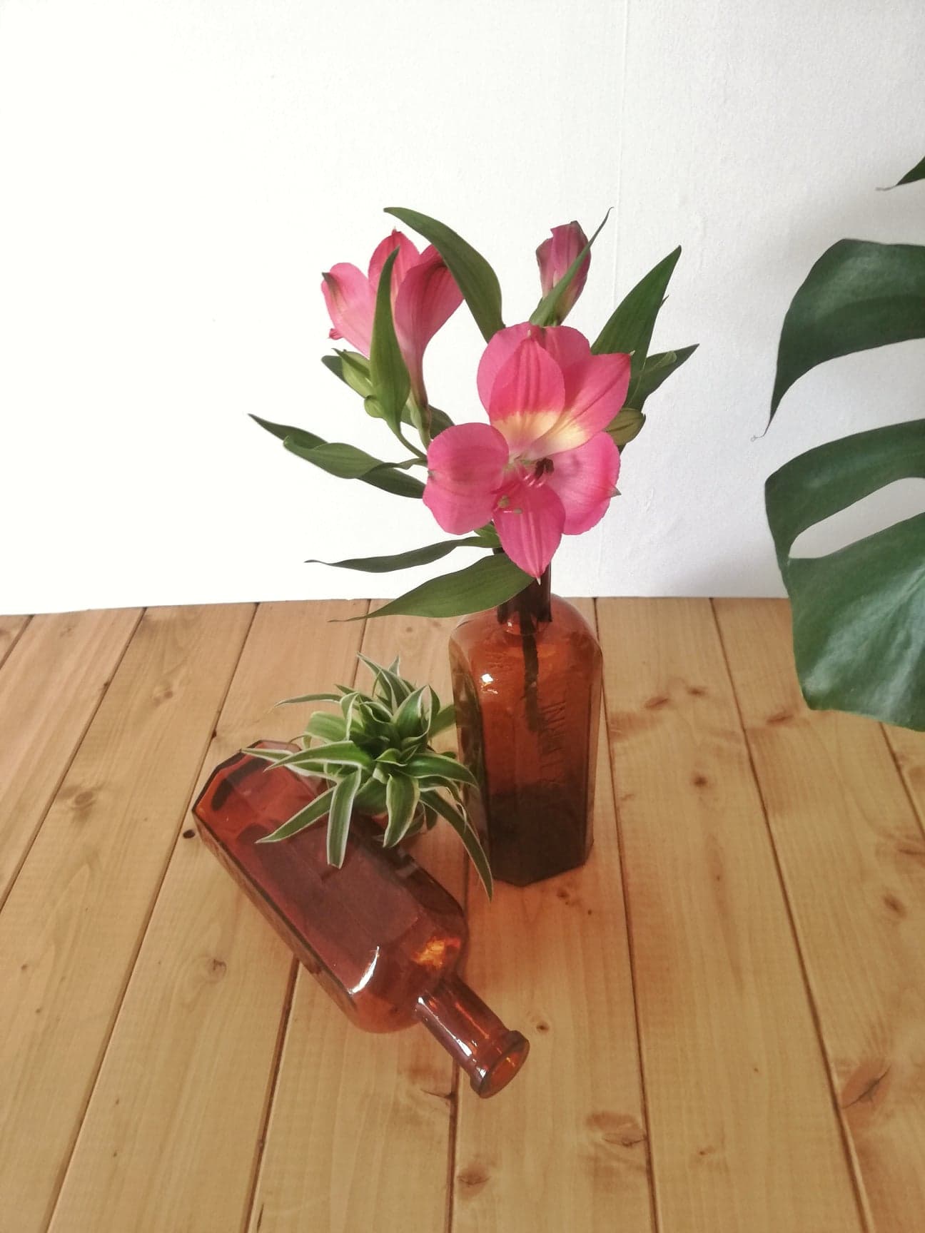 Old pharmacy bottles