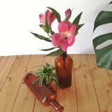 Old pharmacy bottles