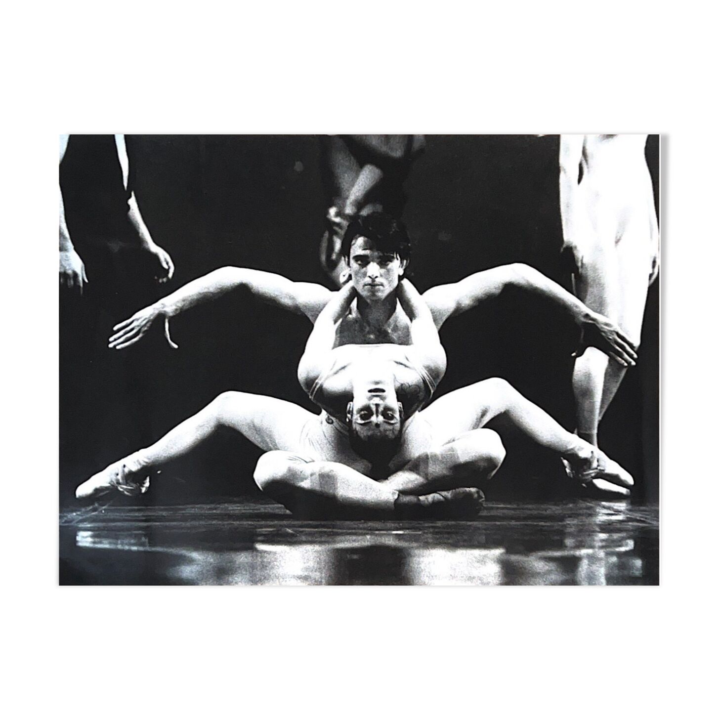Swan Lake photograph