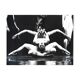 Swan Lake photograph