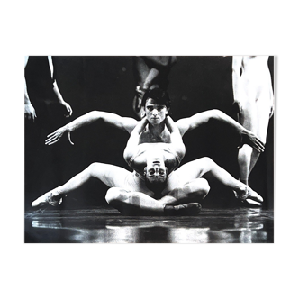 Swan Lake photograph