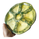 6 oyster plates by Foucard-Jourdan from the 50s