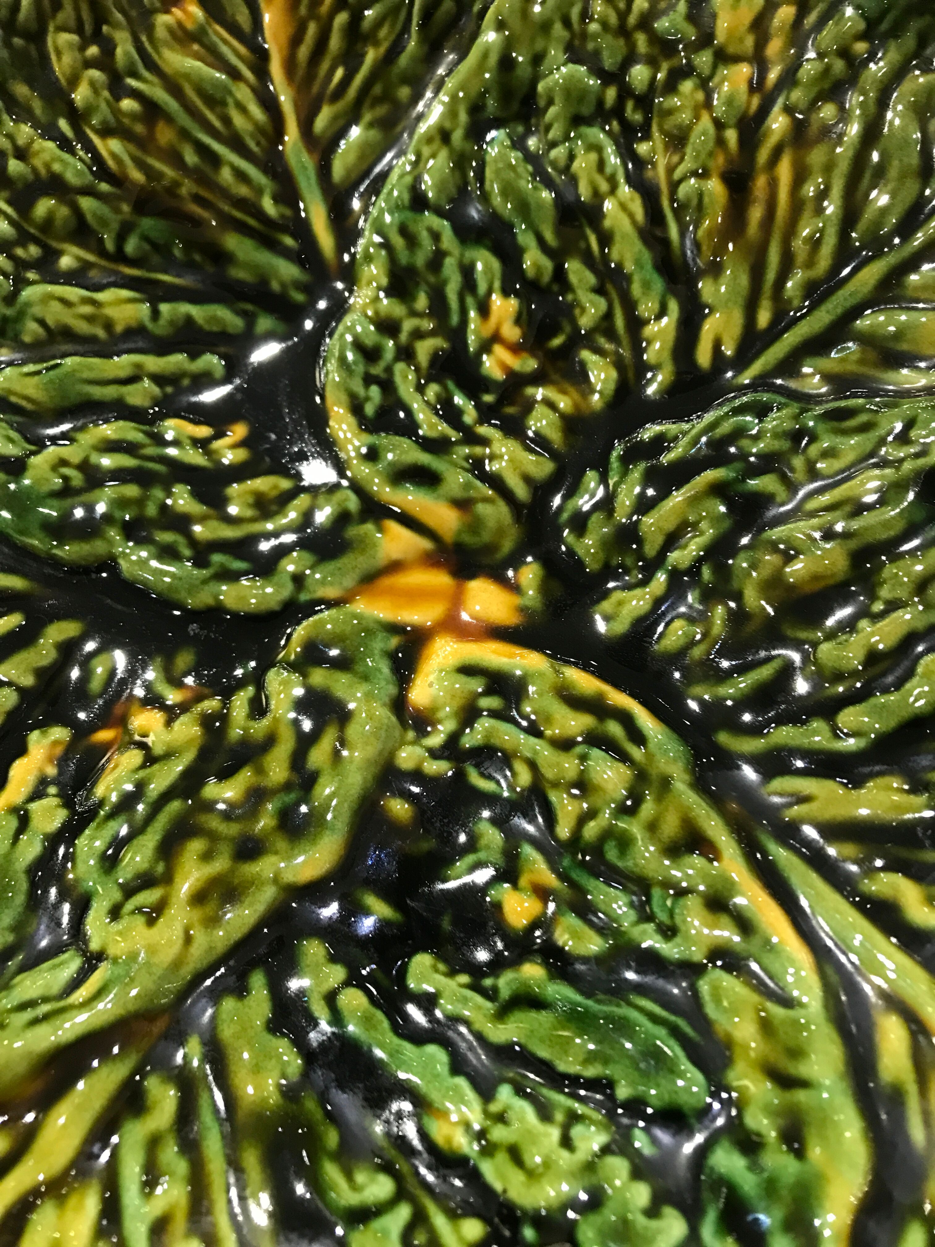 Flat slurry cabbage leaves Vallauris