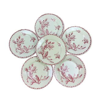Set of 6 dinner plates model Cactus de Gien